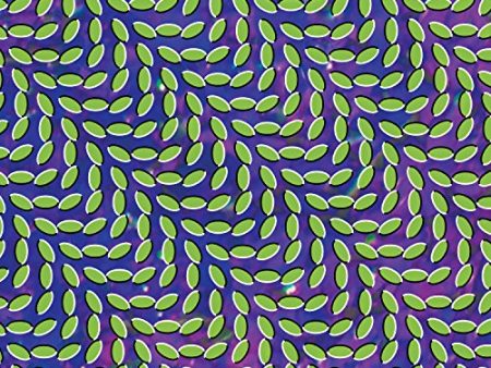 ANIMAL COLLECTIVE - MERRIWEATHER POST PAVILION (CD) Fashion