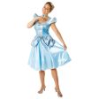 Adult Cinderella Costume Online